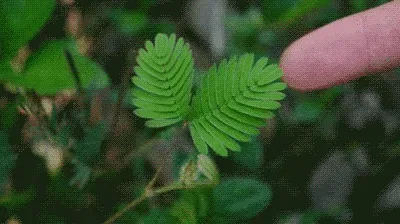 Help for gen images