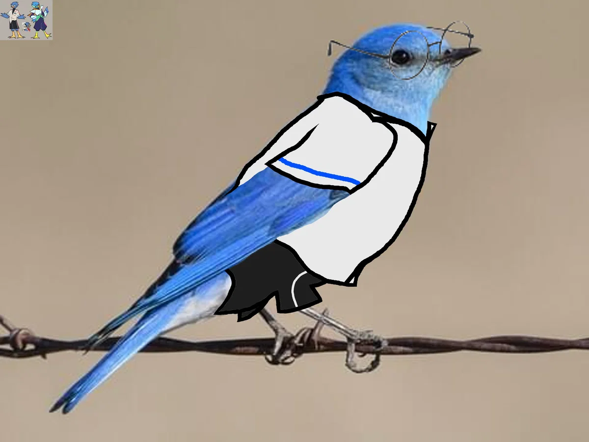 Greatest Berdly Bot of all Time