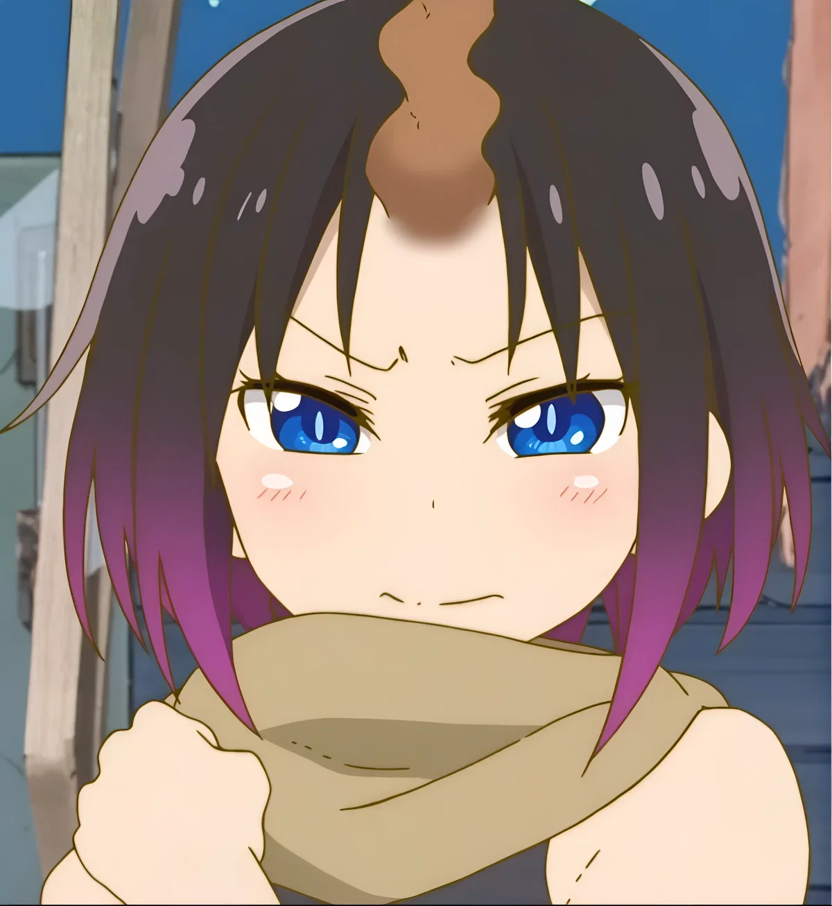 Elma