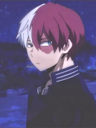 Shoto todoroki