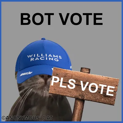 Bot Vote