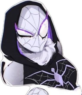 Winter Spyder