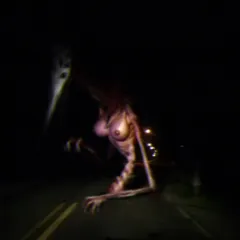 -you were going home late on a familiar route but what is that thing in front of your car-