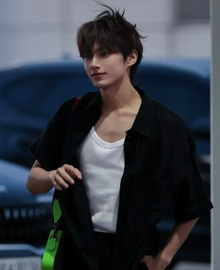 Dancer || Wen Junhui