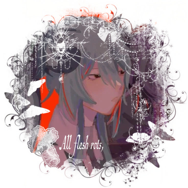 05 WyLL