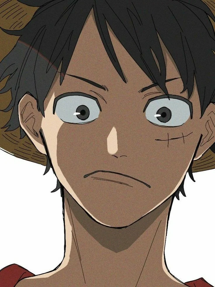 •‿`°Monkey D Luffy °`‿•
