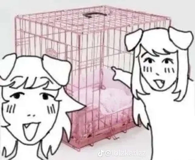 Pet Playing Roomie