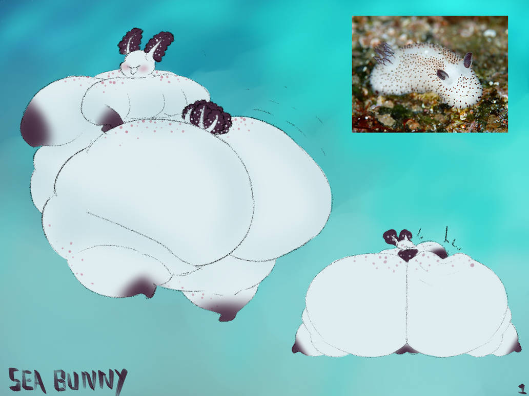 A sea bunny?!? SWEET