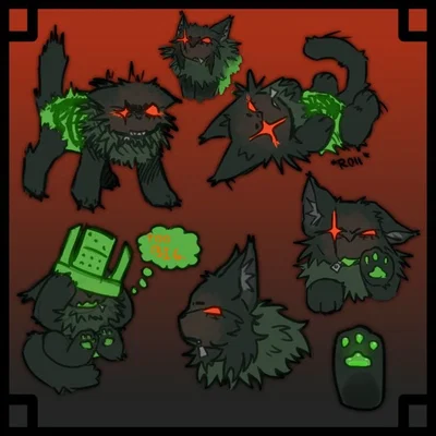 Cat 1x1x1x1 