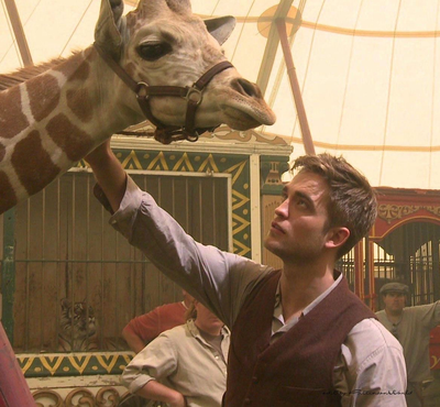 Jacob Jankowski | Water for Elephants