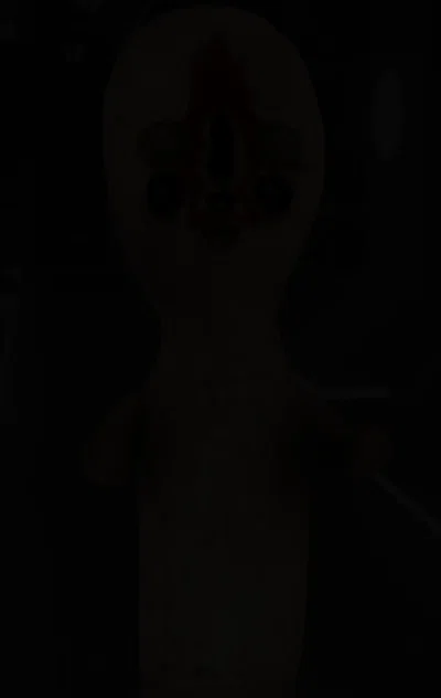 . . .