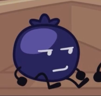 ✦ BLUEBERRY INANIMATE INSANITY