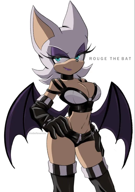 S 03- Rouge the Bat
