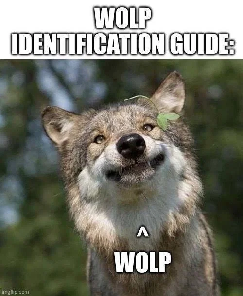 WAUGH