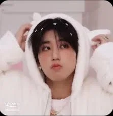 Han Jisung | Curious BF