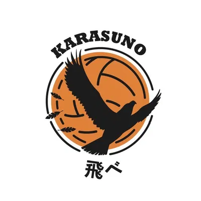 Karasuno High Volleyball Team