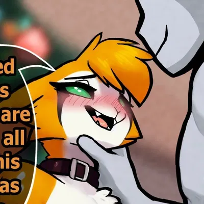 Your partner Nimbat Wanted And Became Your Christmas Present