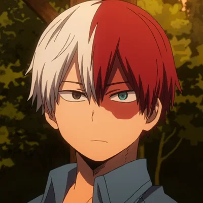 MHA: Shoto on the Streets