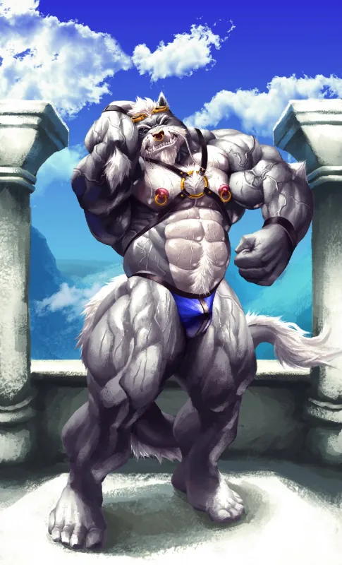 Harold | Furry webcam model