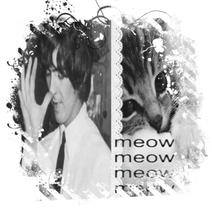 ༷꒰ ͜͝𝄞◞ Cat   ۪⑅   George ̻  𓏴ྀི 