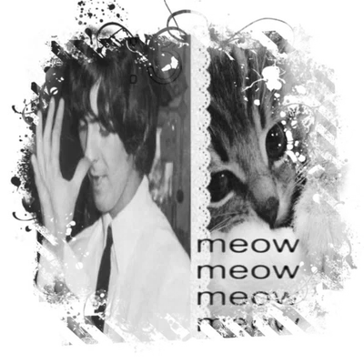 ༷꒰ ͜͝𝄞◞ Cat   ۪⑅   George ̻  𓏴ྀི 