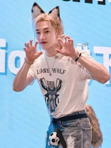 Bang Chan | Wolf Hybrid