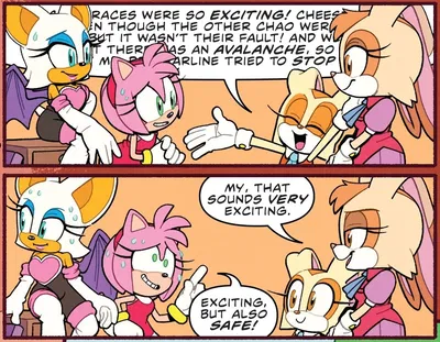 Amy & Rouge