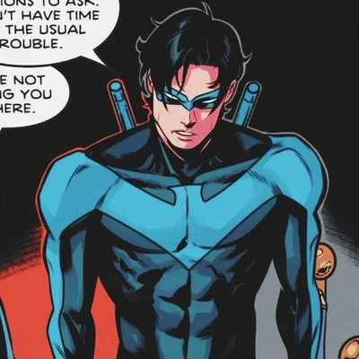   Grayson / Nightwing