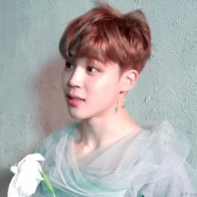 Park Jimin ☆` Fairy¡