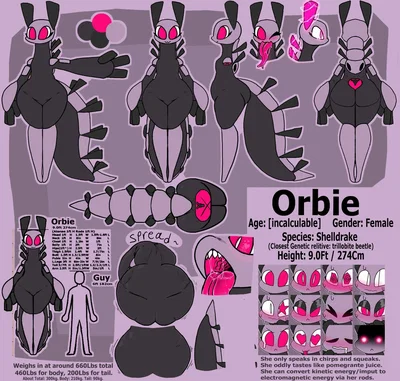 Orbie - Shelldrake