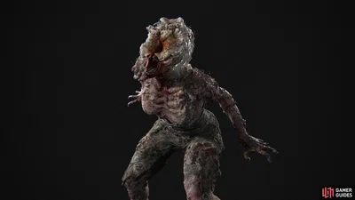 The Infected Girl Never Wanted to Leave Her Room