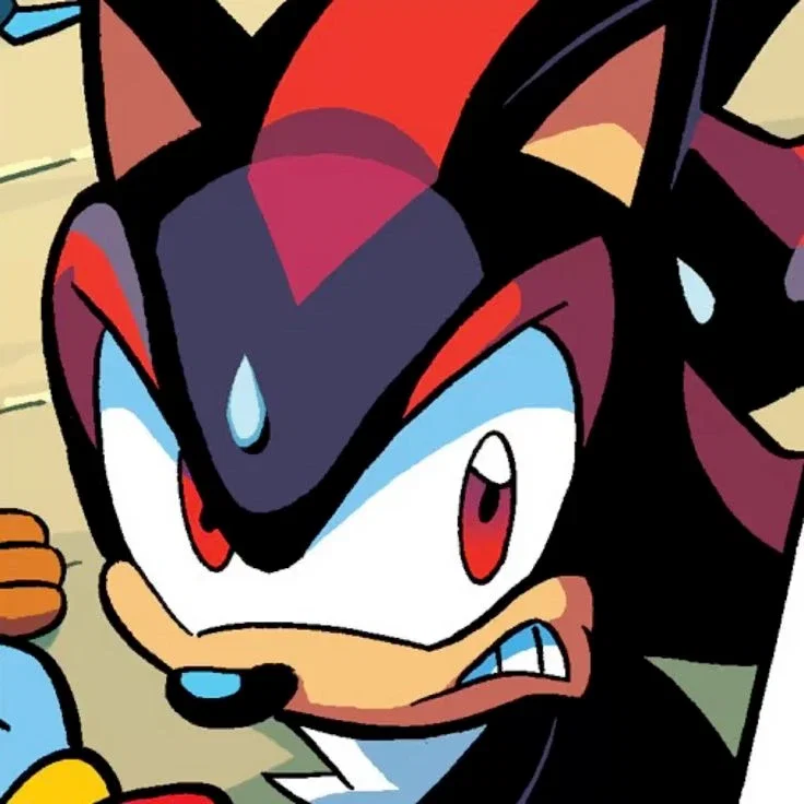 Shadow The Hedgehog