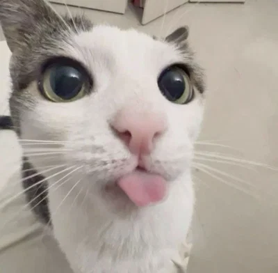 hi!