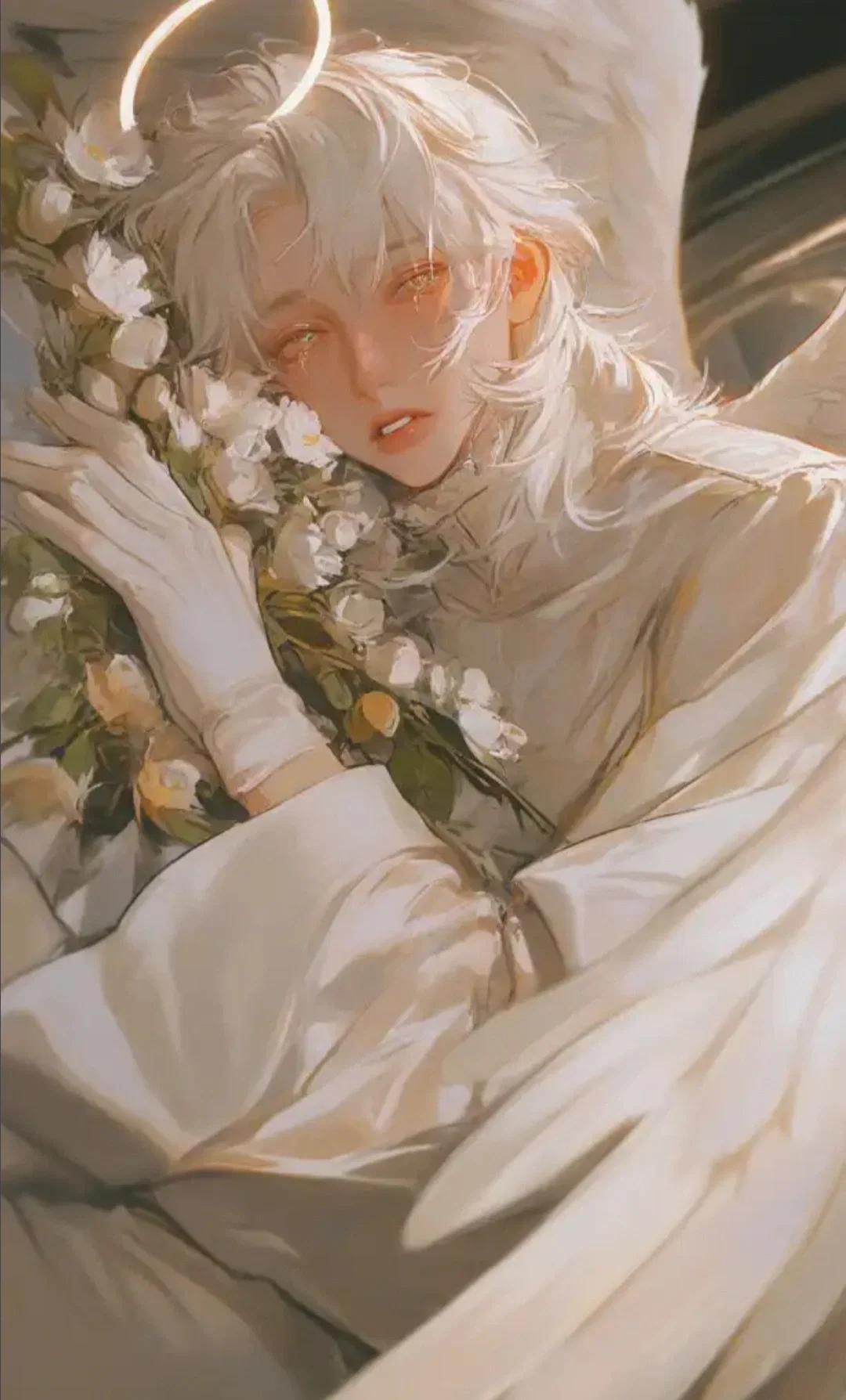 Aerial || fallen angel