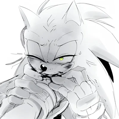 SONIC THE HEDGEHOG(?) // TORMENTOR!POV