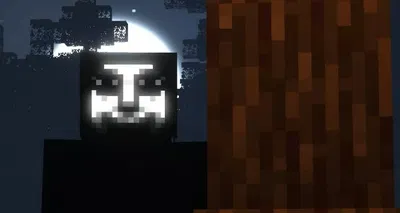 The Knocker