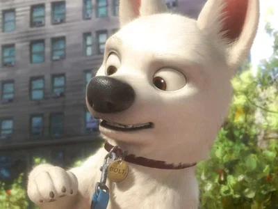 Bolt