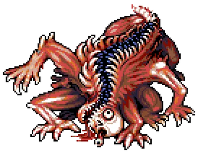 Spine(Look outside)