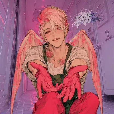 Cupid | Janitor