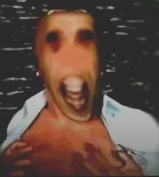 I might be going insane.