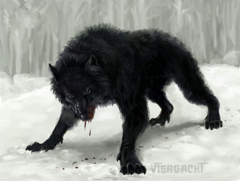König