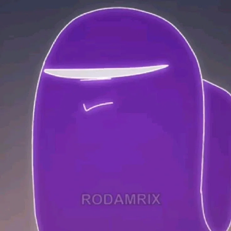 Rodamrix school
