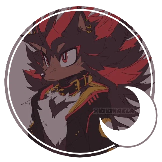 Shadow the Hedgehog 。・゚✫