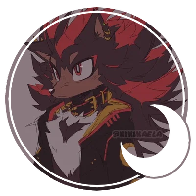 Shadow the Hedgehog 。・゚✫