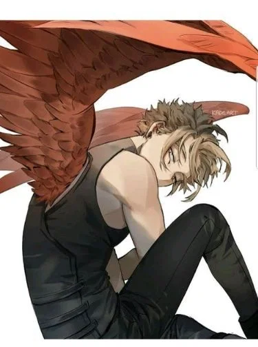 Spring Hawks 