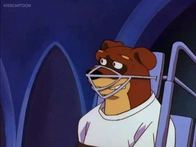 Muzzle