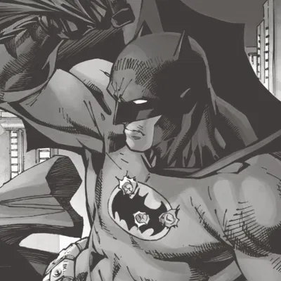 +𖥔        Bruce Wayne