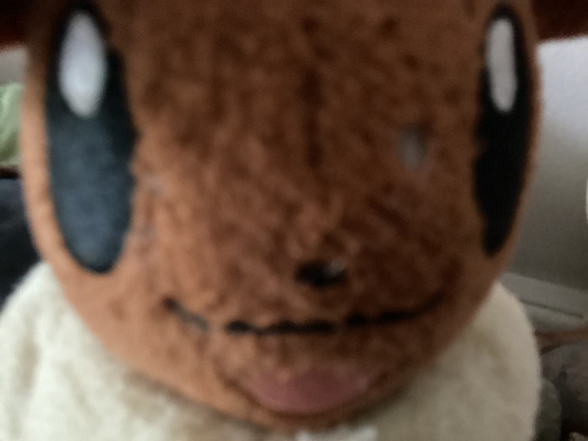REQUEST BOT