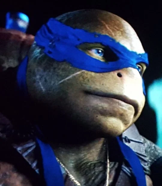 Bayverse Leonardo 