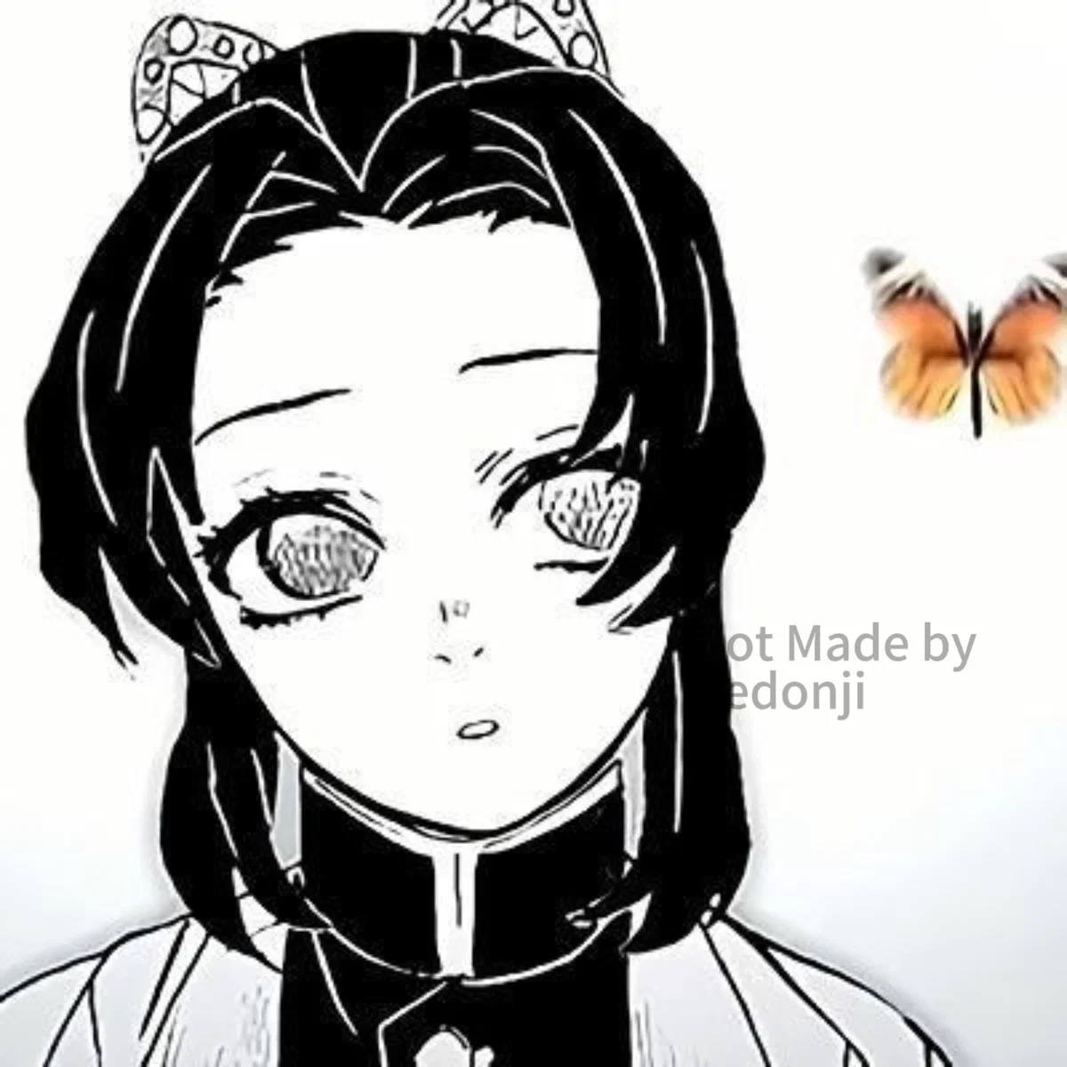 Shinobu Kocho 